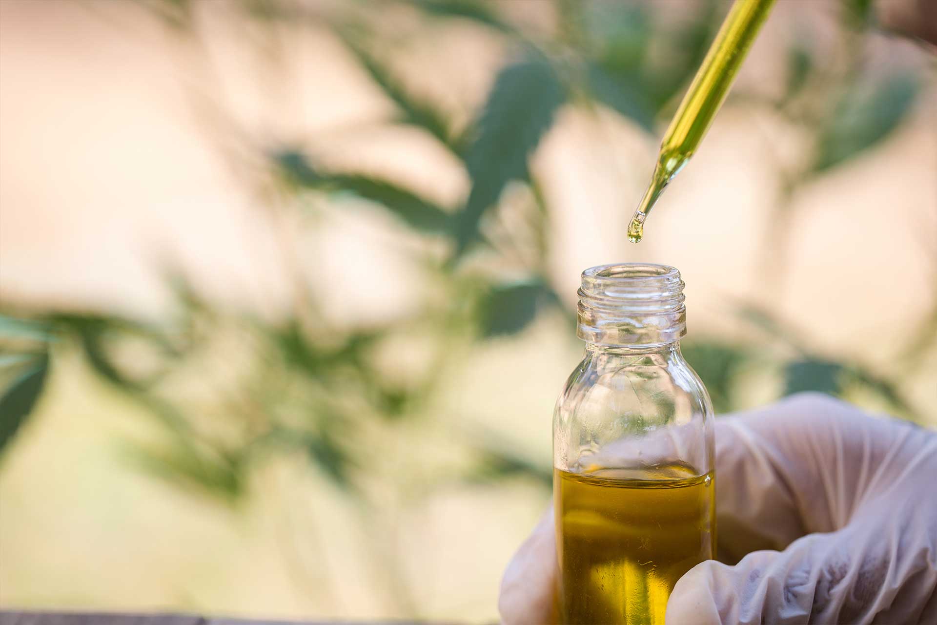 Hemp Manufacturers
